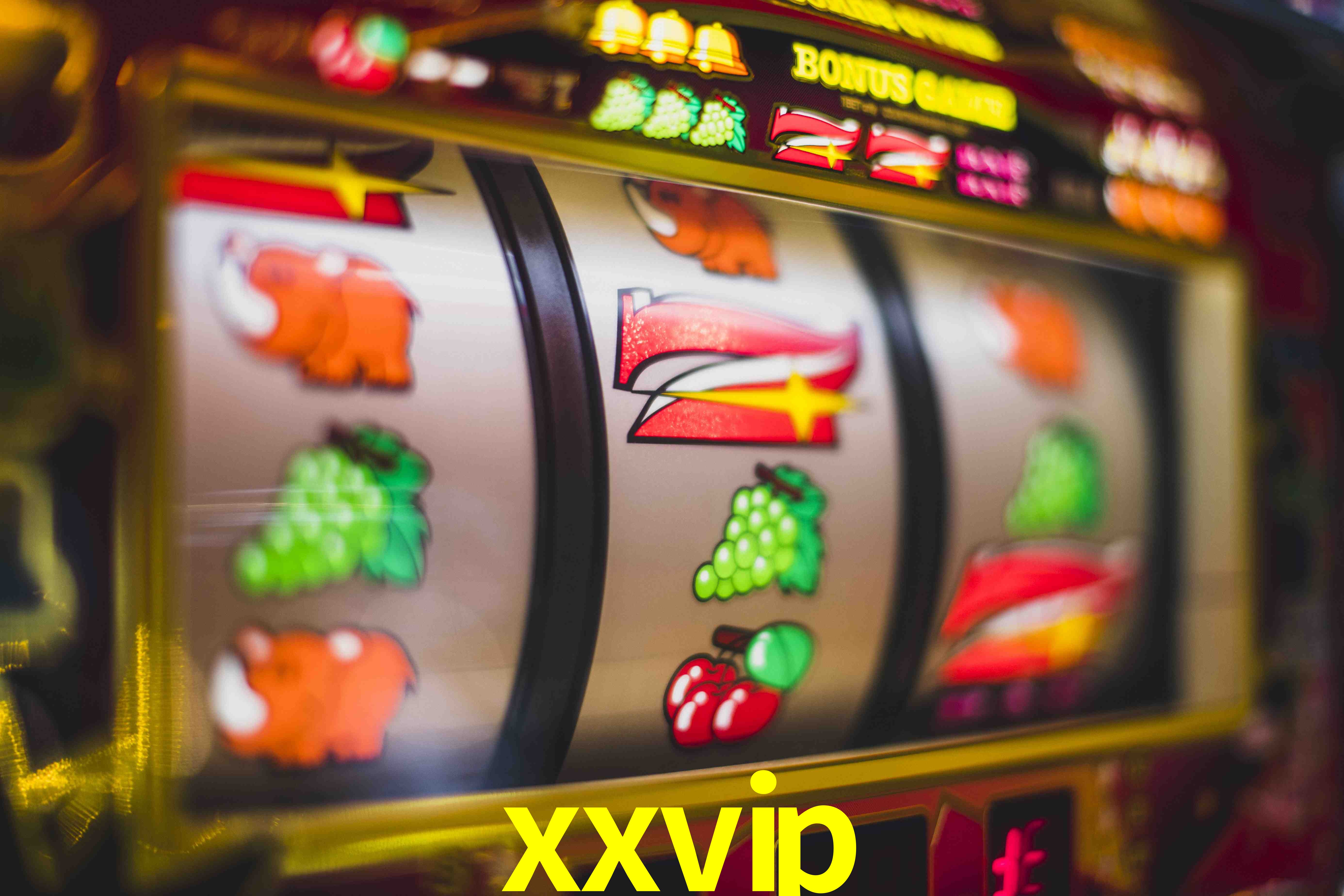 Basketball Betting xxvip